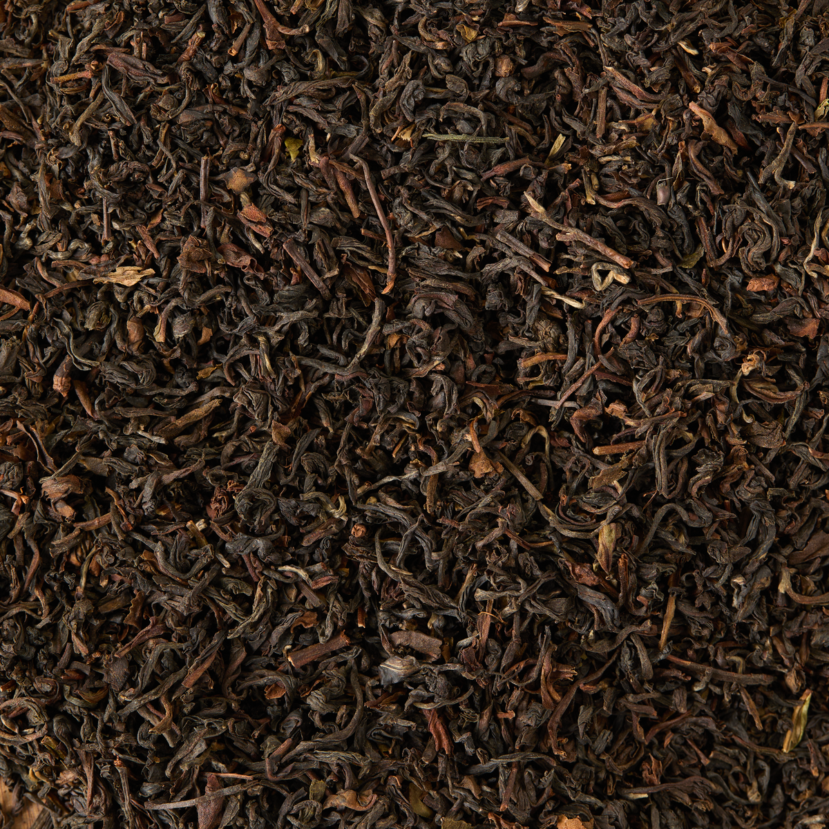 A close-up view of Darjeeling Loose Leaf Tea, highlighting its dark, twisted, and curled dried leaves.