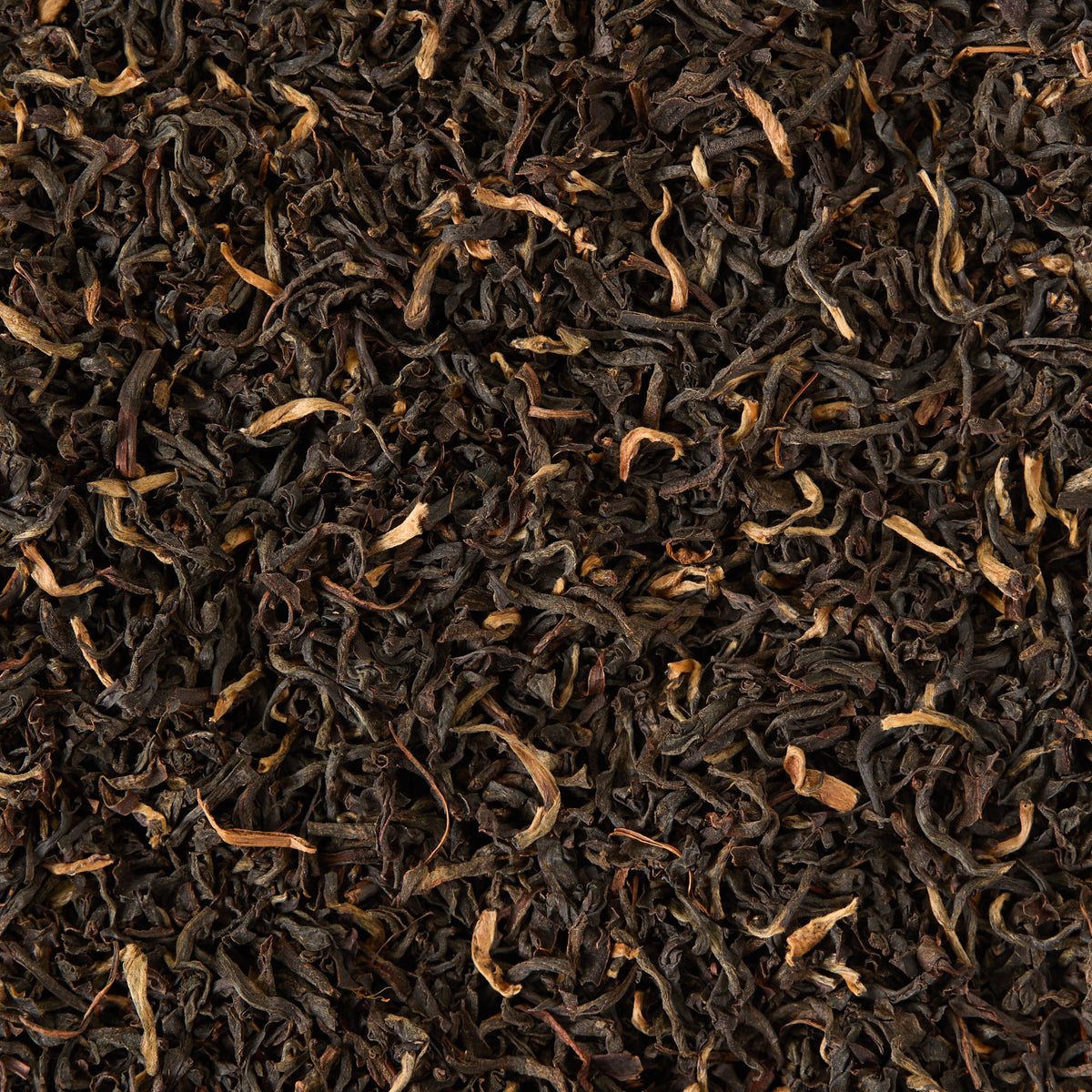 A close-up view of Assam TGFOP1 Loose Leaf Tea, highlighting its curled and twisted leaves with golden tips.