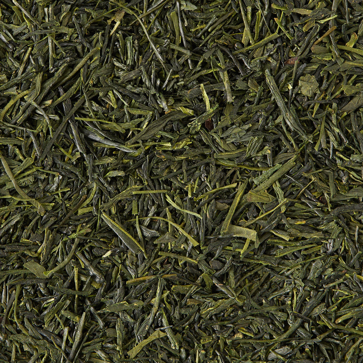A close-up view of Gyokuro Loose Leaf Tea, featuring thin, flat green tea leaves arranged in a dense layer and suggesting the delicate umami flavor unique to this premium Japanese green tea.