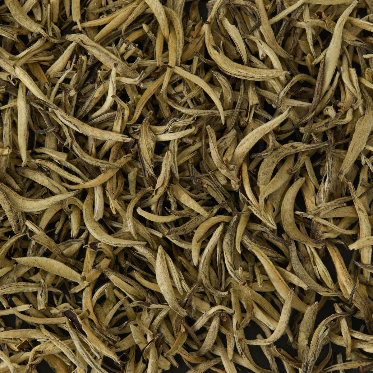 A close-up view of loose, dried Silver Needle Loose Leaf Tea scattered in a dense layer highlights their curled and elongated shapes with light brown and tan hues. This rare white tea is esteemed for its delicate appearance and subtle flavor profile.