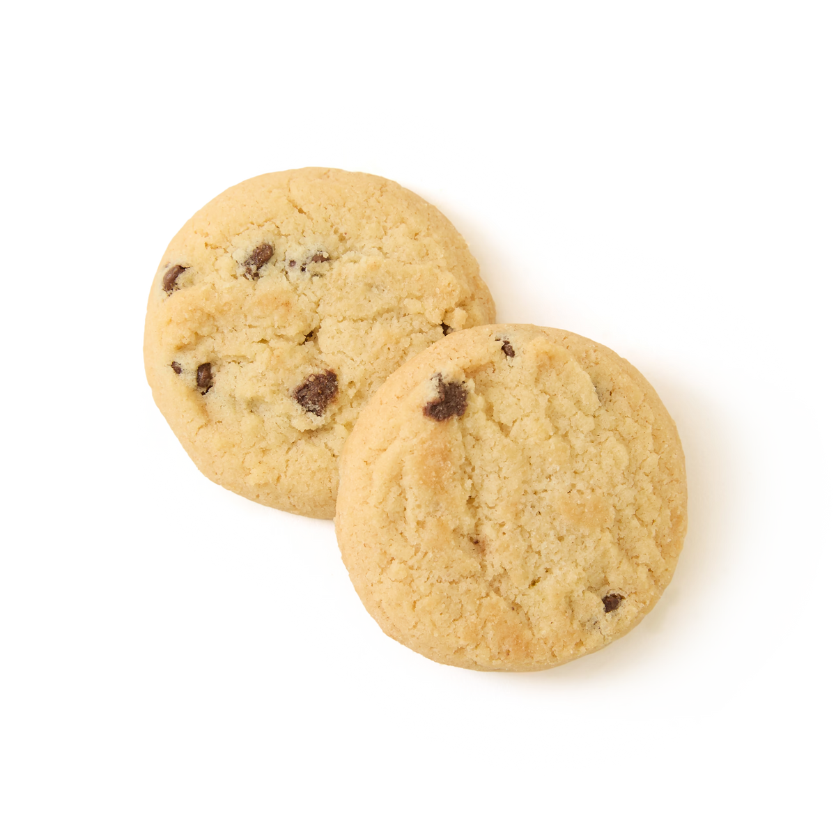 Two All Butter Chocolate Chip Shortbread cookies rest on a plain white background. These golden brown cookies, studded with chocolate chips, are perfect for savoring with a cup of English Breakfast tea.