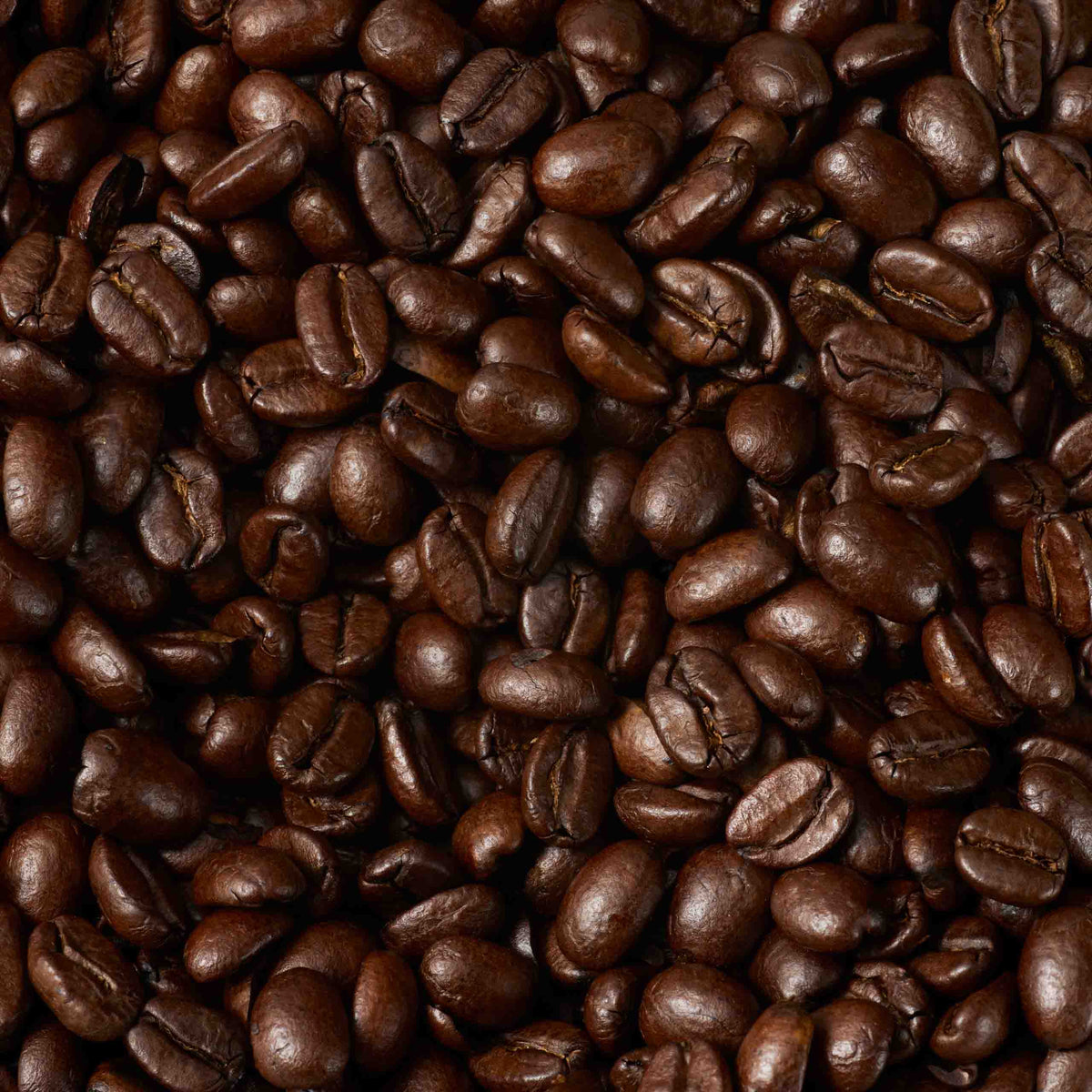 A close-up, top-down view showing a dense background of shiny, dark-roasted Guatemala Elephant Coffee beans, filling the entire frame with their rich brown color, large size, and irregular shapes that hint at deep chocolate undertones.