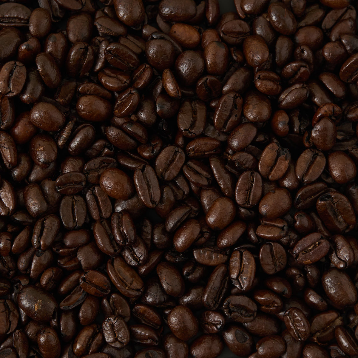 A close-up view of many roasted Santos and Java Coffee beans, highlighting their dark brown color, glossy surface, and rich dark chocolate notes that are characteristic of this premium blend.