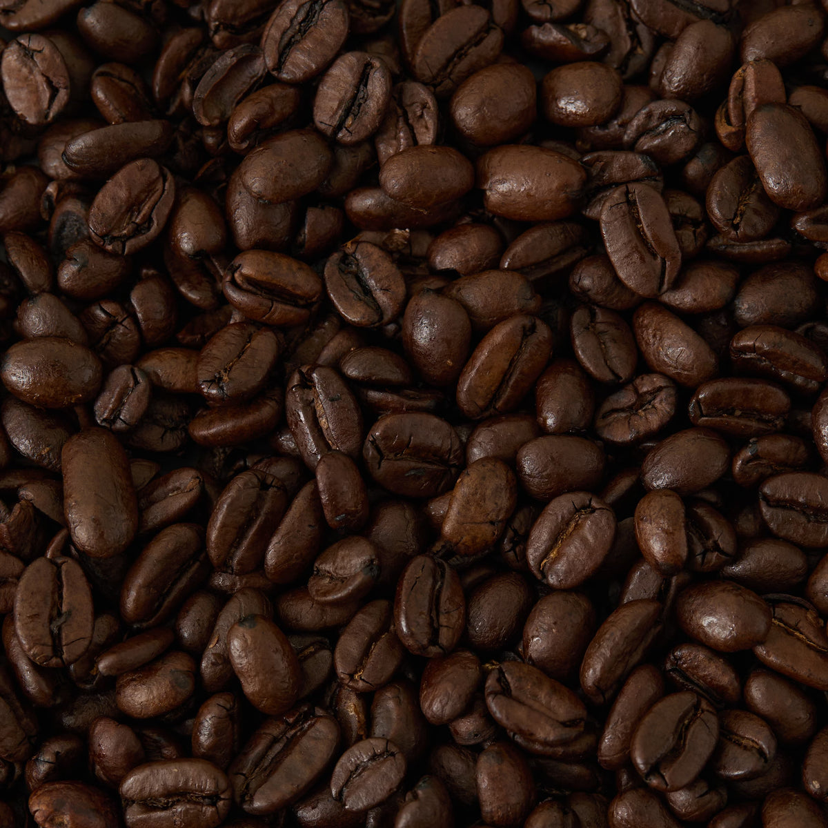 A close-up view of Bourbon Espresso Coffee beans, highlighting their dark brown color and glossy texture. The whole beans, roasted to a medium level, are tightly packed and fill the entire frame.