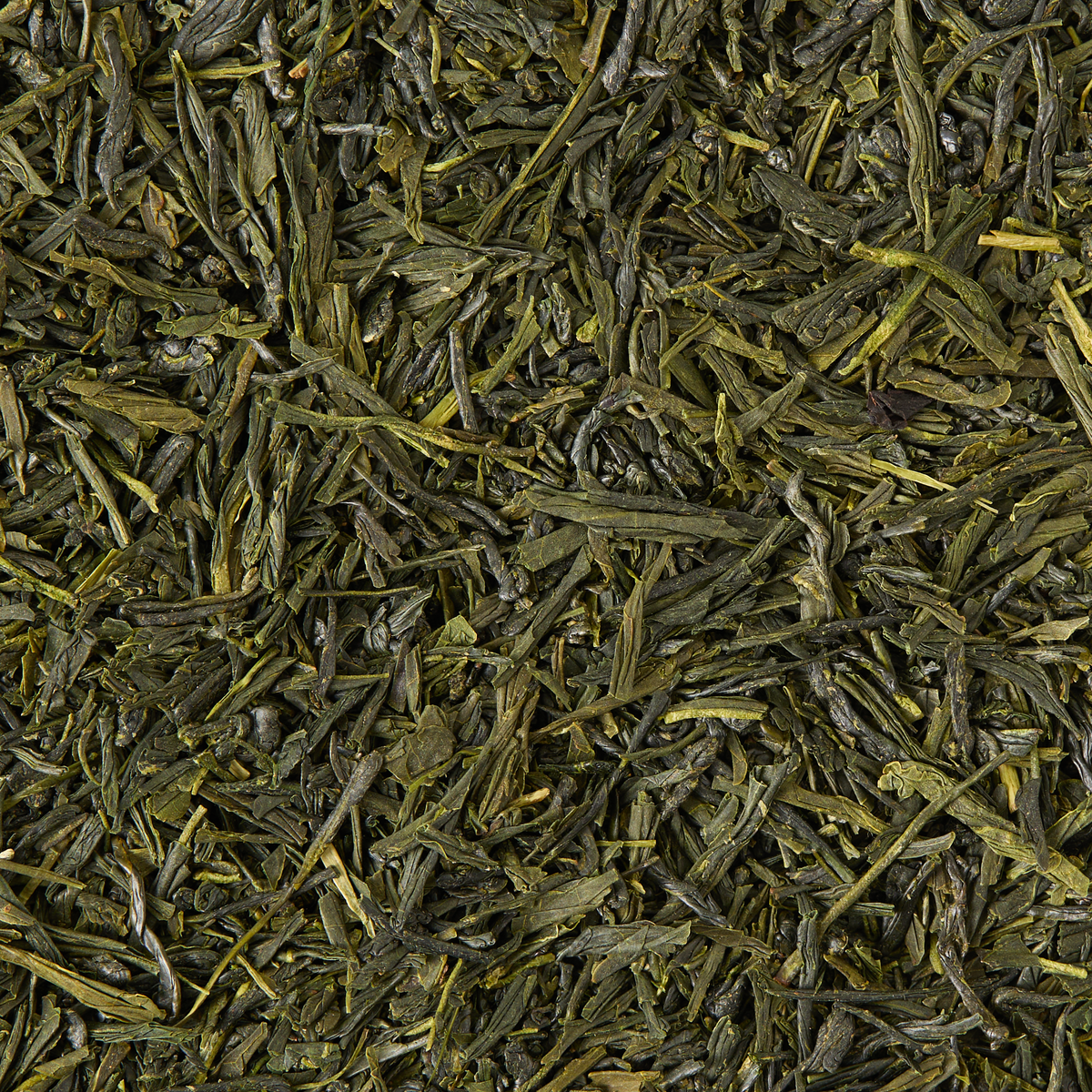 Close-up of Sencha Asagiri Loose Leaf Tea, showing its flat, dried, and slightly twisted leaves in various shades of green. These leaves represent the fine quality characteristic of Kirishima tea.