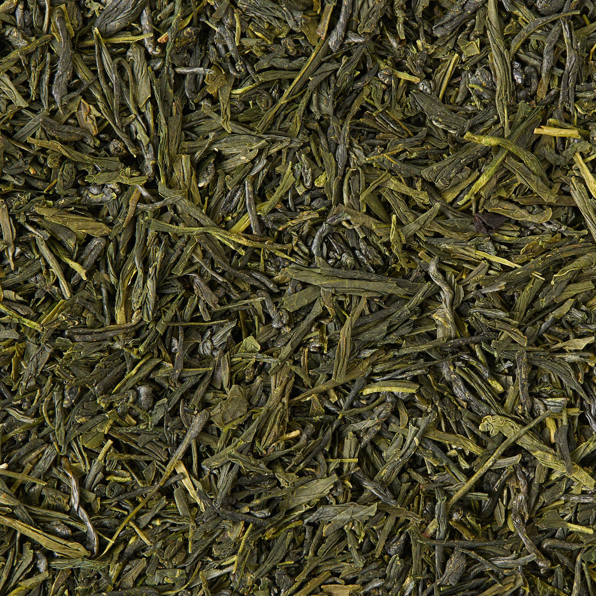 Sencha Asagiri Loose Leaf Tea is displayed in a close-up view, revealing its dried, flat leaves with irregular shapes and a range of green shades.