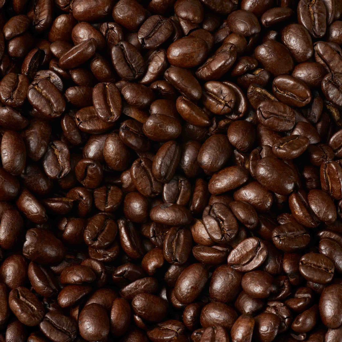 A close-up view of many shiny, dark brown roasted large coffee beans, tightly packed together, showing their texture and natural variations—these are the renowned Guatemala Elephant Coffee Beans Valve Pack sourced from the Lake Atitlán region.