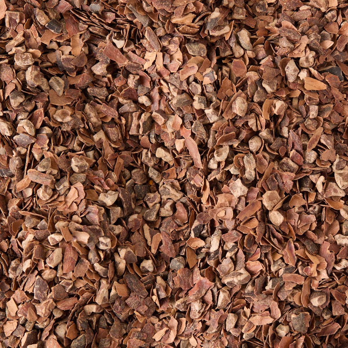 A close-up view of Cacao Loose Infusion, featuring small pieces of crushed cacao beans with a rough, brown texture.