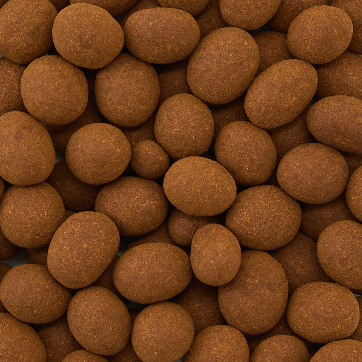 A close-up view of many round, brown, cocoa-dusted chocolate-covered almonds tightly packed together, filling the entire image—perfect for pairing with Christmas Spice Chocolate Covered Espresso Beans to create a festive chocolate gift.