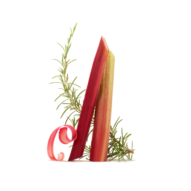 Elevate your next summer drink with the vibrant duo of rhubarb and rosemary—featured in our Rhubarb & Rosemary Instant Tea, inspired by fresh rhubarb stalks and fragrant rosemary sprigs, beautifully presented on a crisp white backdrop.