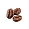 Monsoon Malabar Coffee