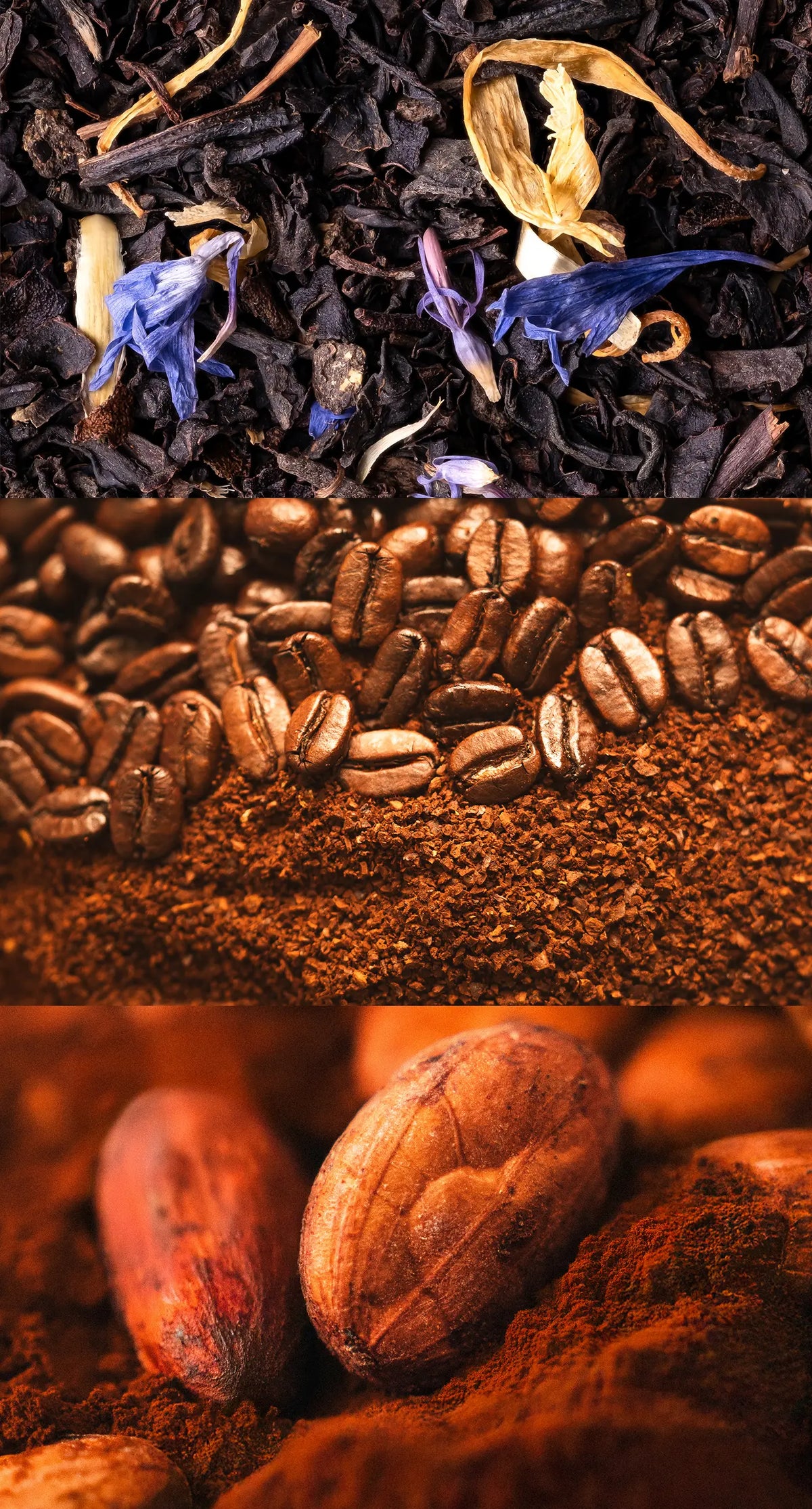 Close-up of dried tea leaves with flower petals, roasted coffee beans on ground coffee, and whole cocoa beans on cocoa powder, in three horizontal sections.
