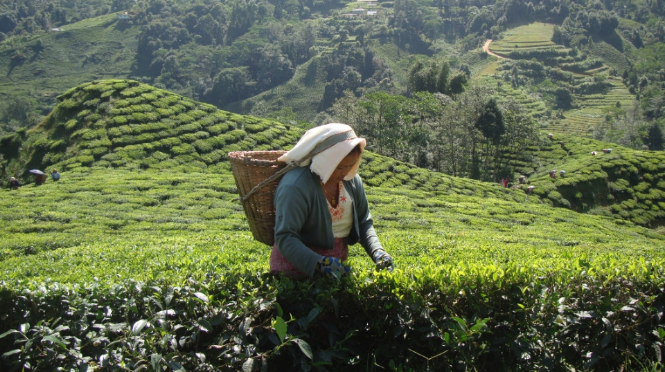 Shop Our Wellness range