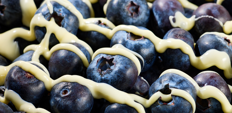 The Trendsetter: Blueberry Cheesecake Flavour