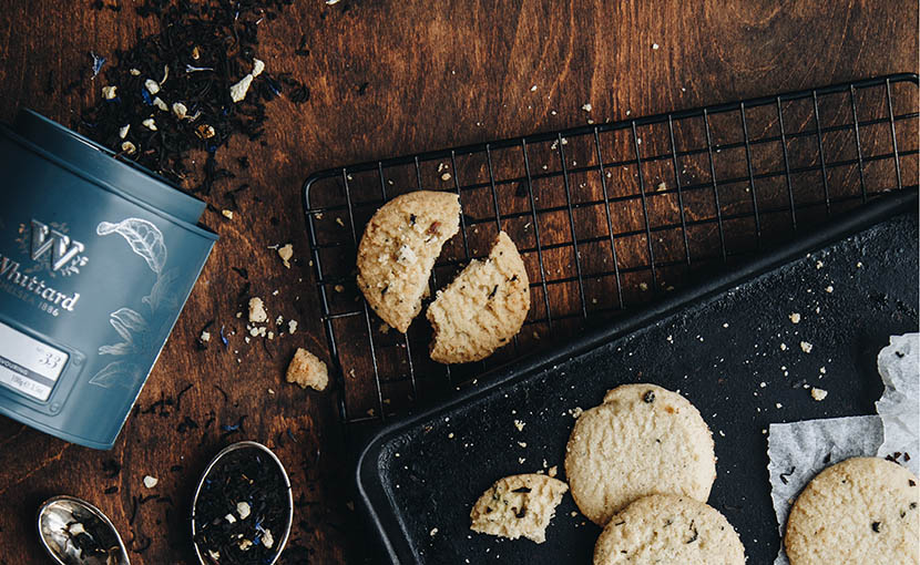 your alt text goes here