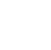 Standard Delivery
