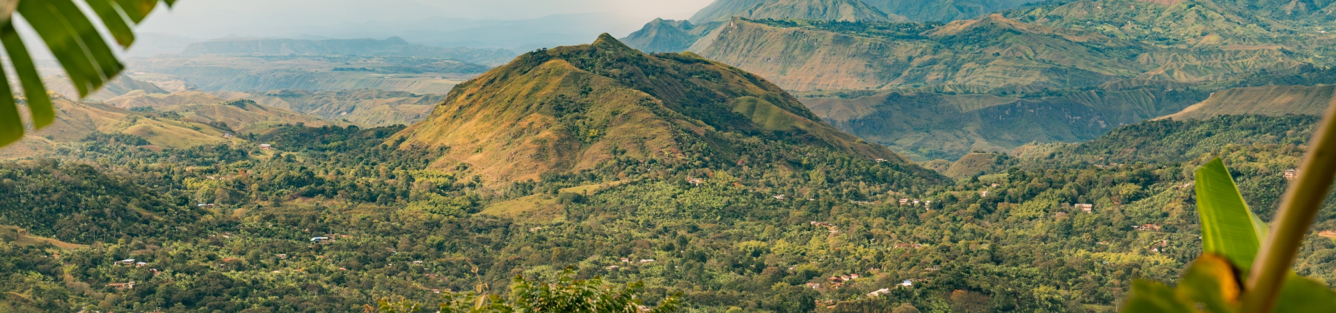 Coffee from Around the World