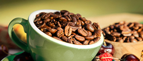 Discover More About Coffee