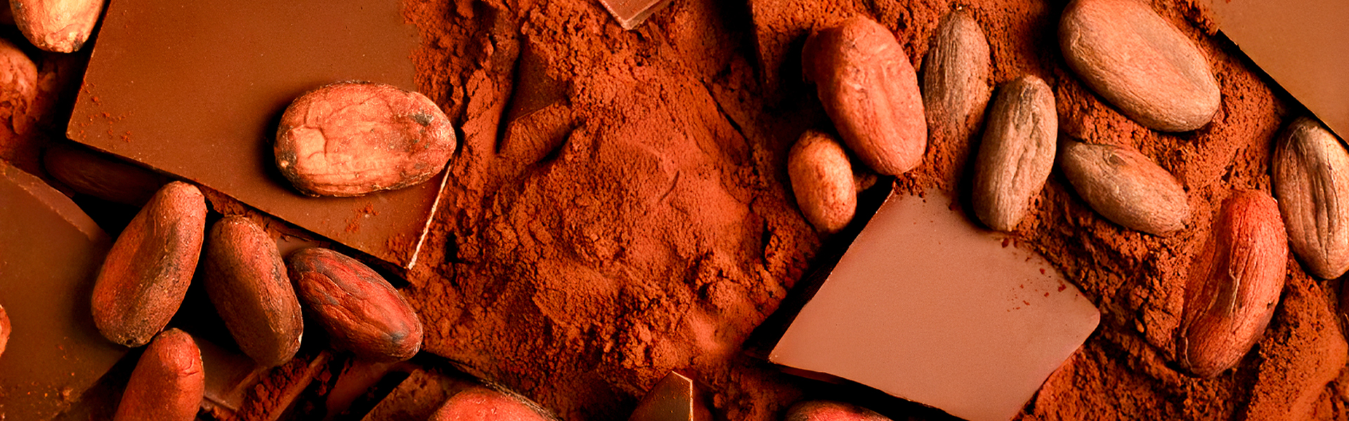 Whittard Hot Chocolate Range